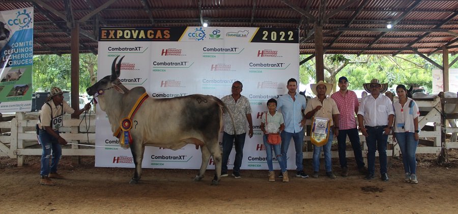 GranCampeonaReservada-Guzerá