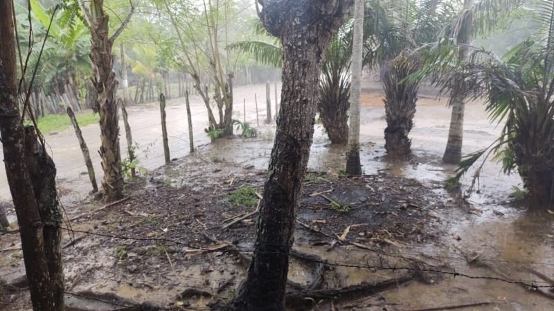 LluviaenlazonaruraldeCórdoba