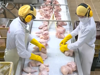 MacPollo-muslosdepollodesdearriba