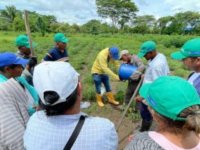 PlanYucaPaís-talleres