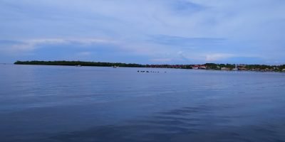 SanAntero-playas-manglares-animales (56)