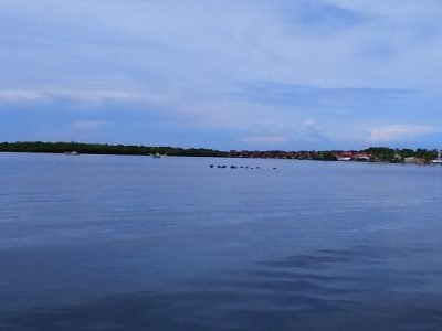 SanAntero-playas-manglares-animales (56)