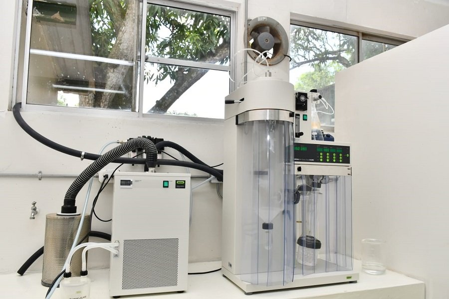 Unicor-proyectodecacao-equipo