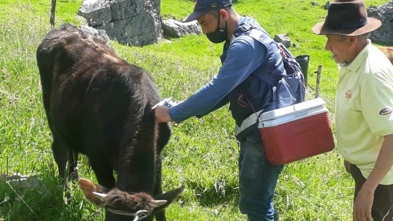 Vacunación-antiaftosa-2ciclo-2022 (3)