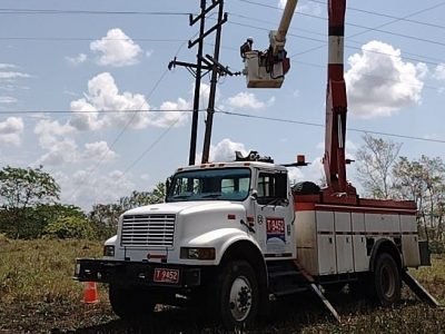 Afinia-cortes17denoviembre