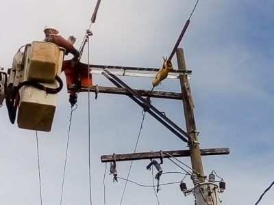 Afinia-cortes23denoviembre-PtoLibertador (2)