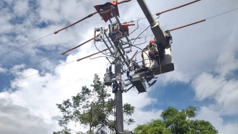 Afinia-cortesdel3al5denoviembre (2)