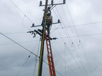 Afinia-cortesdel5al7demayo (2)