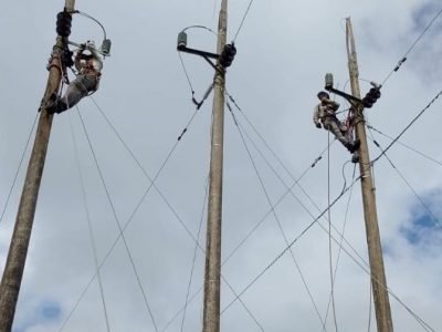 Afinia-cortesel25denoviembre-Buenavista (2)