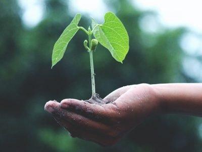 CAF-Cambio Climatico (2)