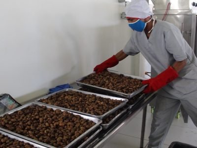 Chinú-plantadeprocesamientodelanuez