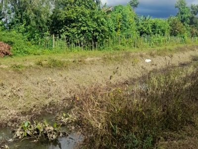 DistritoLaDoctrina-canalderiego