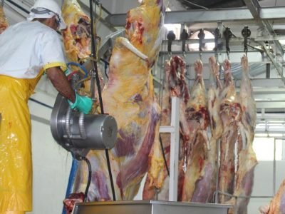 Frigocer-sacrificio (163)