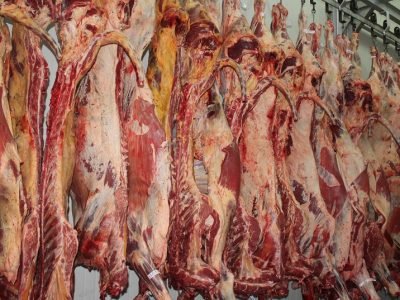 Frigocer-sacrificio (201)