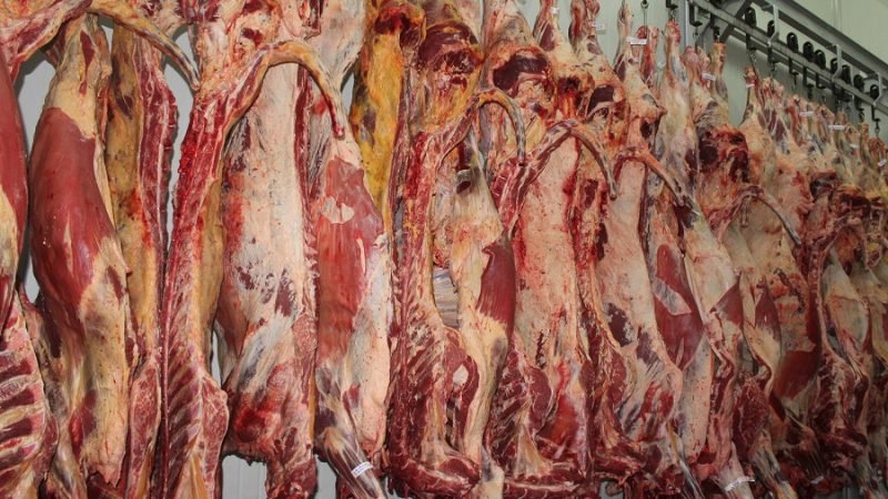 Frigocer-sacrificio (201)