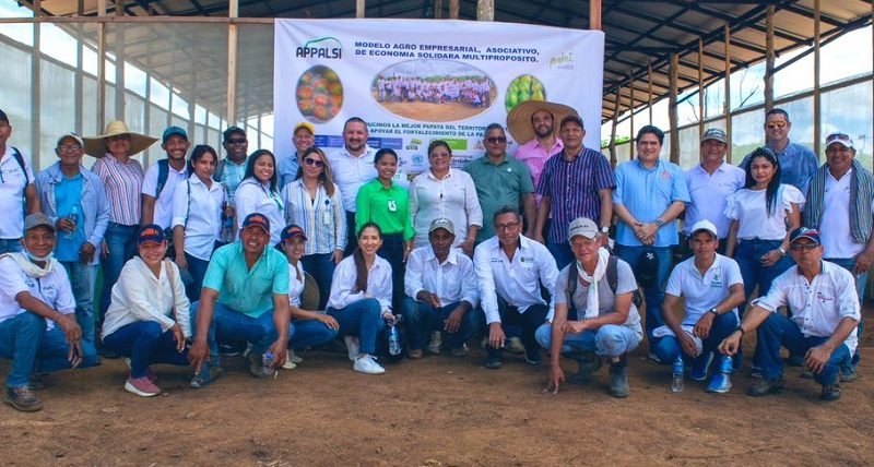 Papaya-AlianzaPúblicoPrivada-enpackinghouse