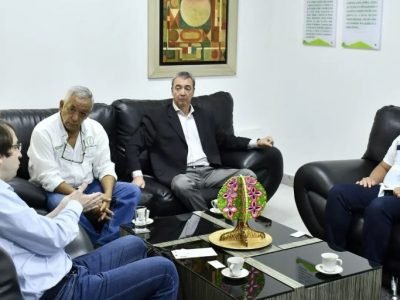 Unicordoba-stevia (2)