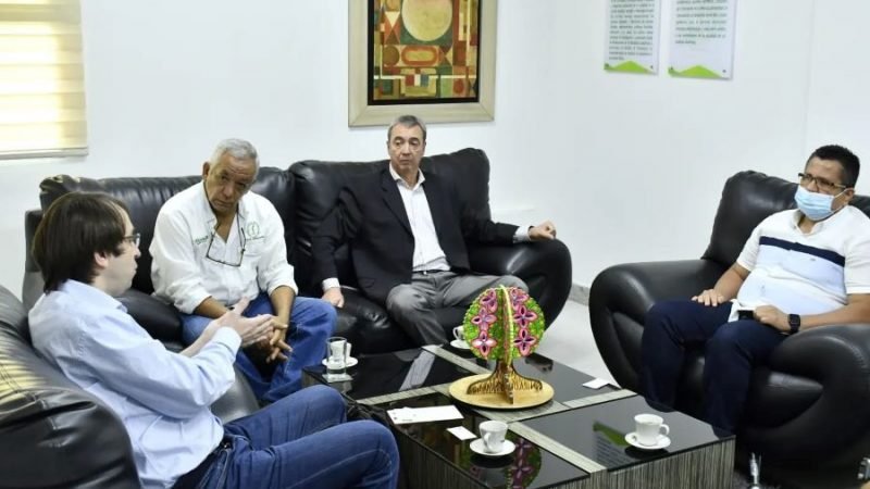 Unicordoba-stevia (2)
