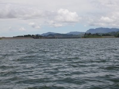 Urrá-proyectosproductivos 203