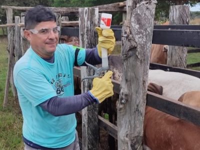 VacunacióncontraaftosaFedegan-noviembre (2)