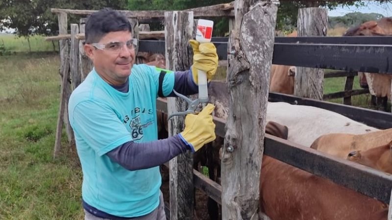 VacunacióncontraaftosaFedegan-noviembre (2)