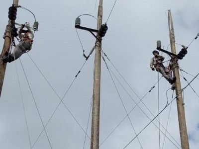 Afinia-corte26dediciembre-SanAntero