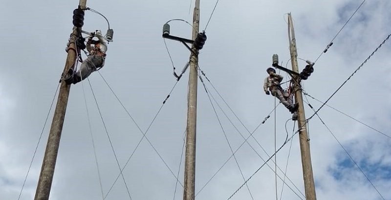 Afinia-corte26dediciembre-SanAntero