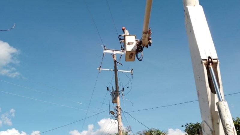 Afinia-corteel19dediciembre (2)