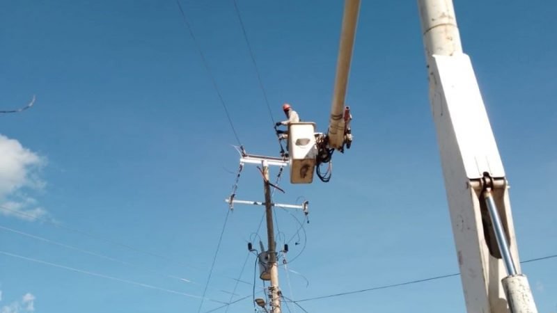 Afinia-cortes22dediciembre-Buenavista (2)