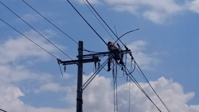 Afinia-cortesdel19al22dediciembre (2)