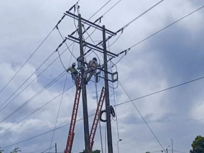 Afinia-cortesdel5al10dediciembre (2)