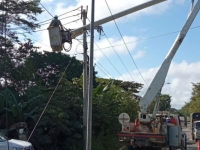 Afinia-cortesel12dediciembre (2)