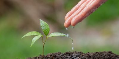 Agricultura-cuidadoconelexcesodelluvia