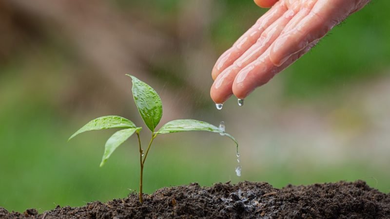 Agricultura-cuidadoconelexcesodelluvia