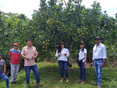 AsohofrucolSucre-produccióndenaranja