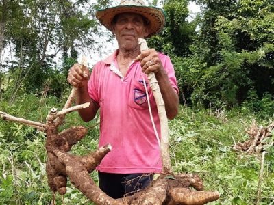 Asoproch-campesino con yuca