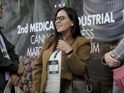 Cannabis-ruedadenegocios