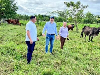 ExtensiónAgropecuariadelaGobernación