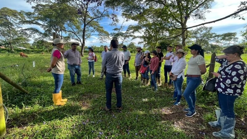 Fedegán-Orinoquia-Foto 3 biocarbono