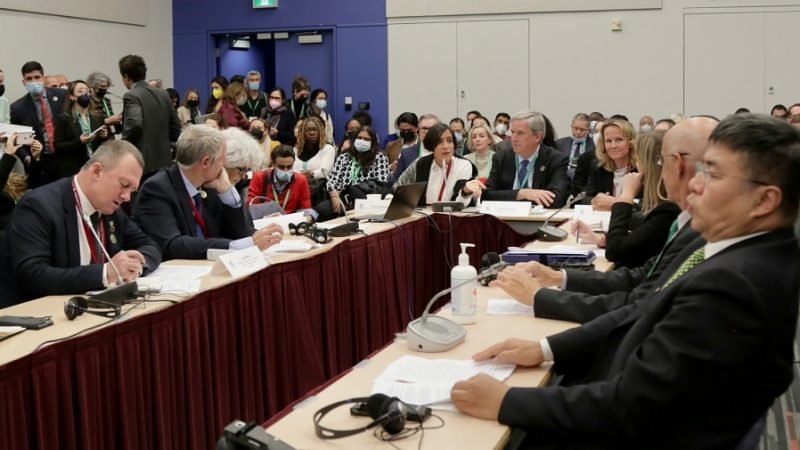 MinambienteSusana-COP15enMontreal