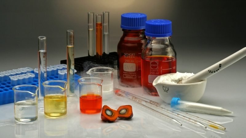 Minciencias-investigaciónenpalma