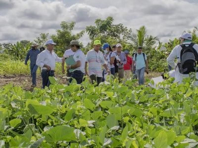 Unicor-frijolcaupí-enpredio1