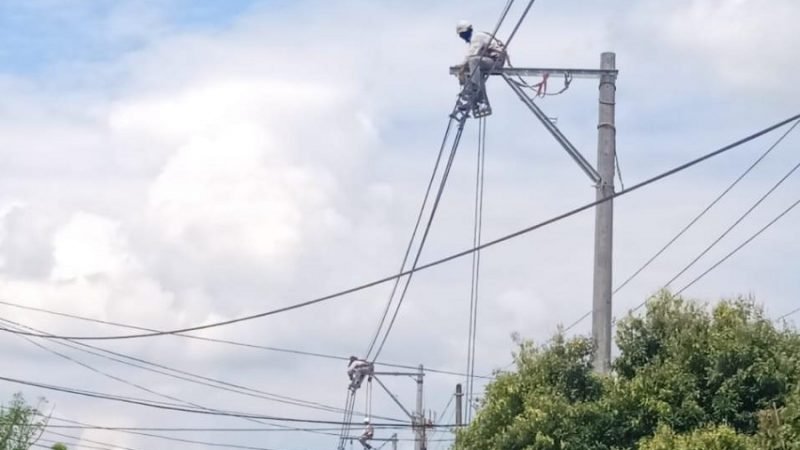 Afinia-corteel9deenero-SanCarlos