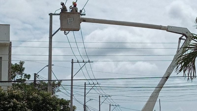 Afinia-cortes4deenero-SanAntero