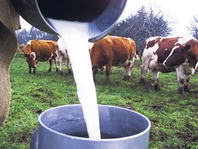 Leche-colombia-surdelpaís