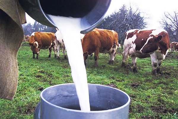 Leche-colombia-surdelpaís