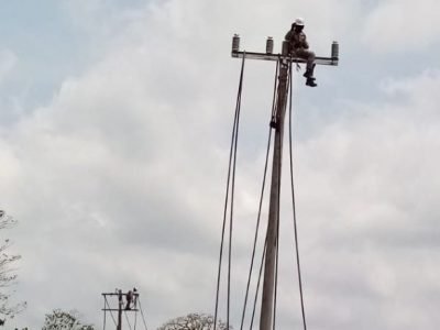 Afinia-cortesdel13al15defebrero-variosmunicipios (2)