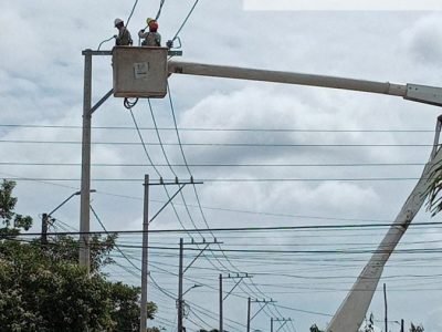 Afinia-cortesdel16al19defebrero