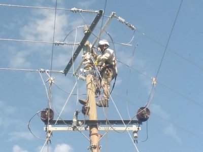 Afinia-cortesel20defebreroenCanalete