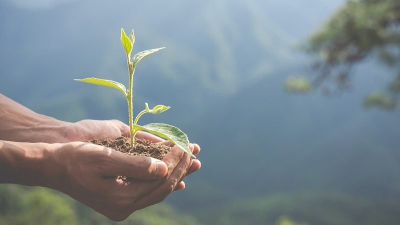 Ambiental-social-gobernanza